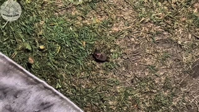 千葉県・館山のキャンプ場でソロキャンをするたにりか