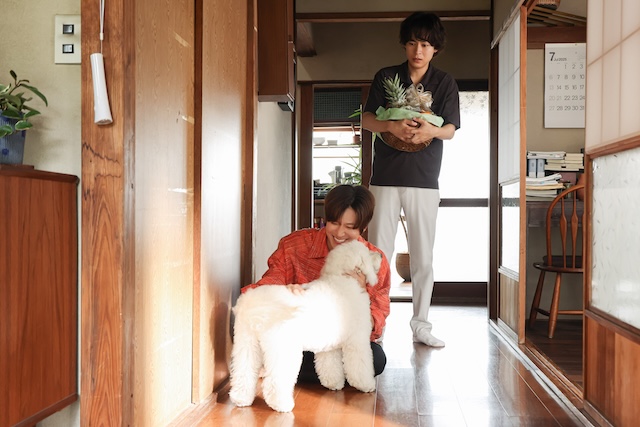 『初恋DOGs』第4話先行カット公開の画像