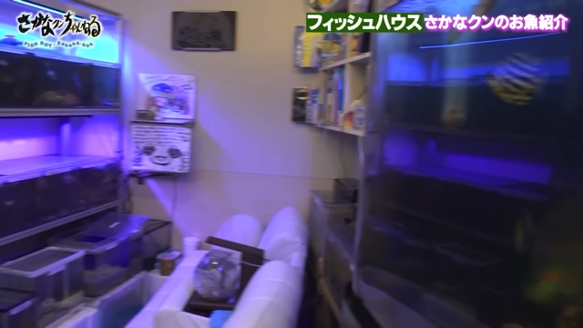 さかなクンのフィッシュハウス