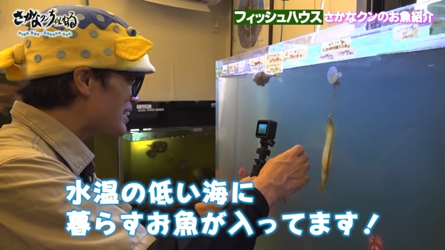 さかなクンのフィッシュハウス