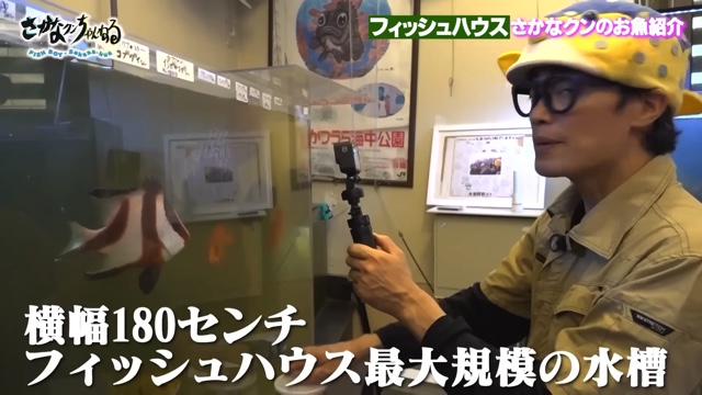 さかなクンのフィッシュハウス