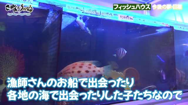 さかなクンのフィッシュハウス