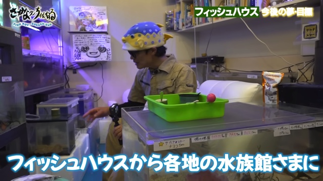 さかなクンのフィッシュハウス