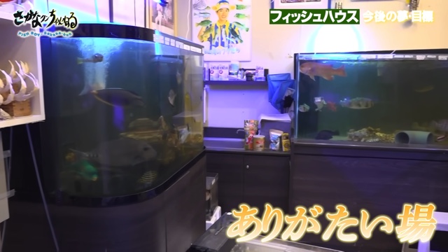 さかなクンのフィッシュハウス
