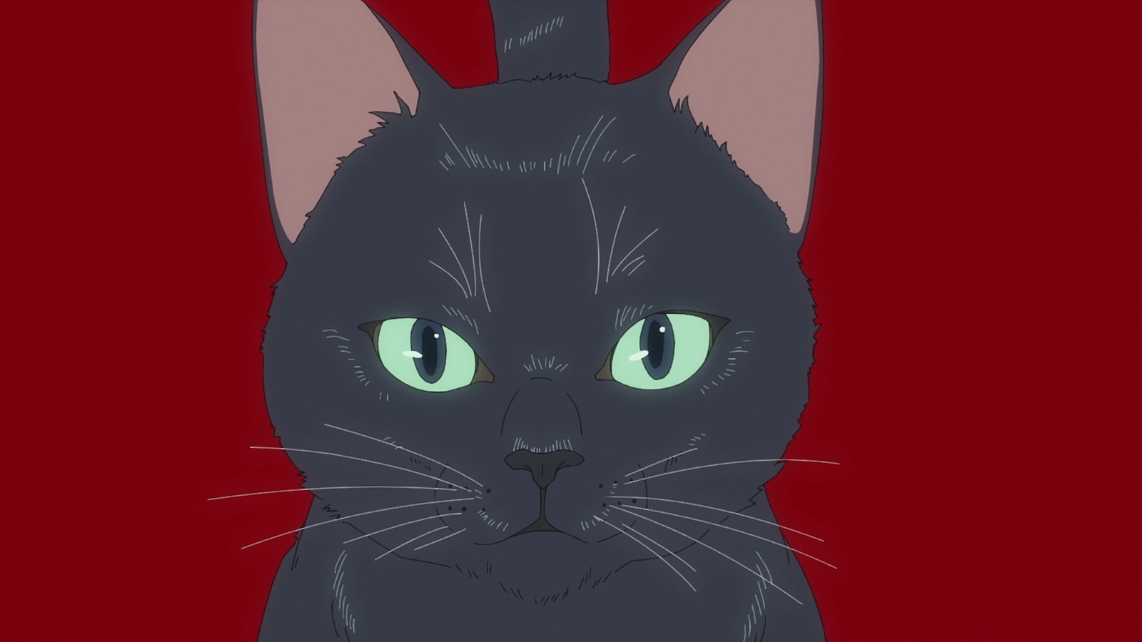 『ニャイト・オブ・ザ・リビングキャット』より