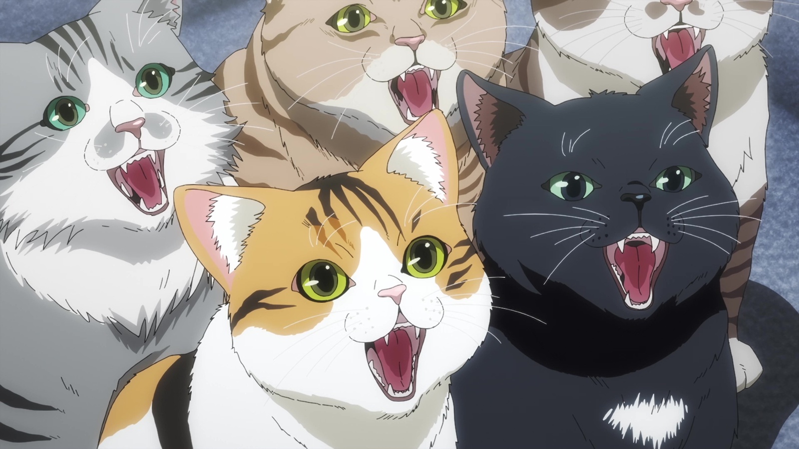 『ニャイト・オブ・ザ・リビングキャット』より