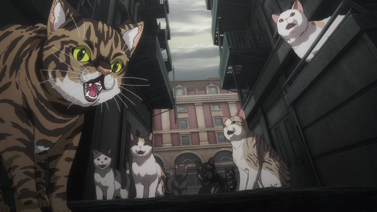 『ニャイト・オブ・ザ・リビングキャット』より