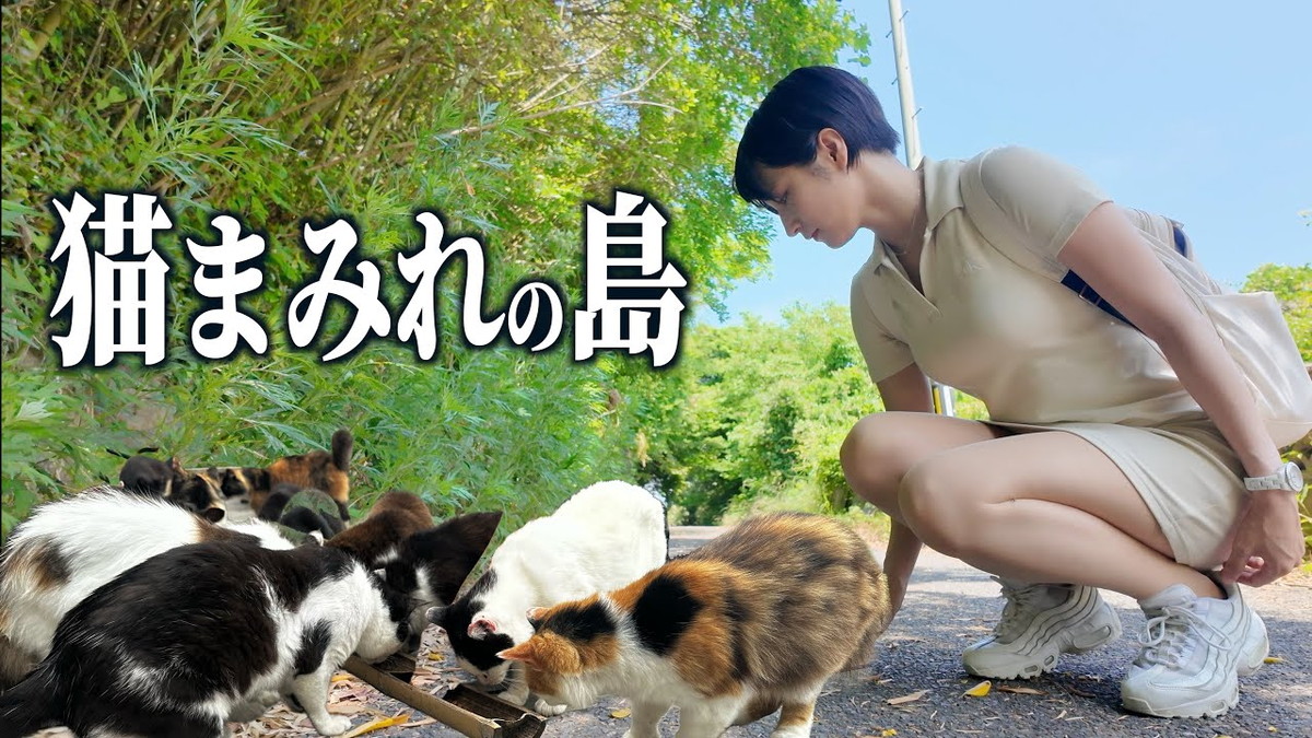 mii、ミニワンピで“猫まみれの島”を散策