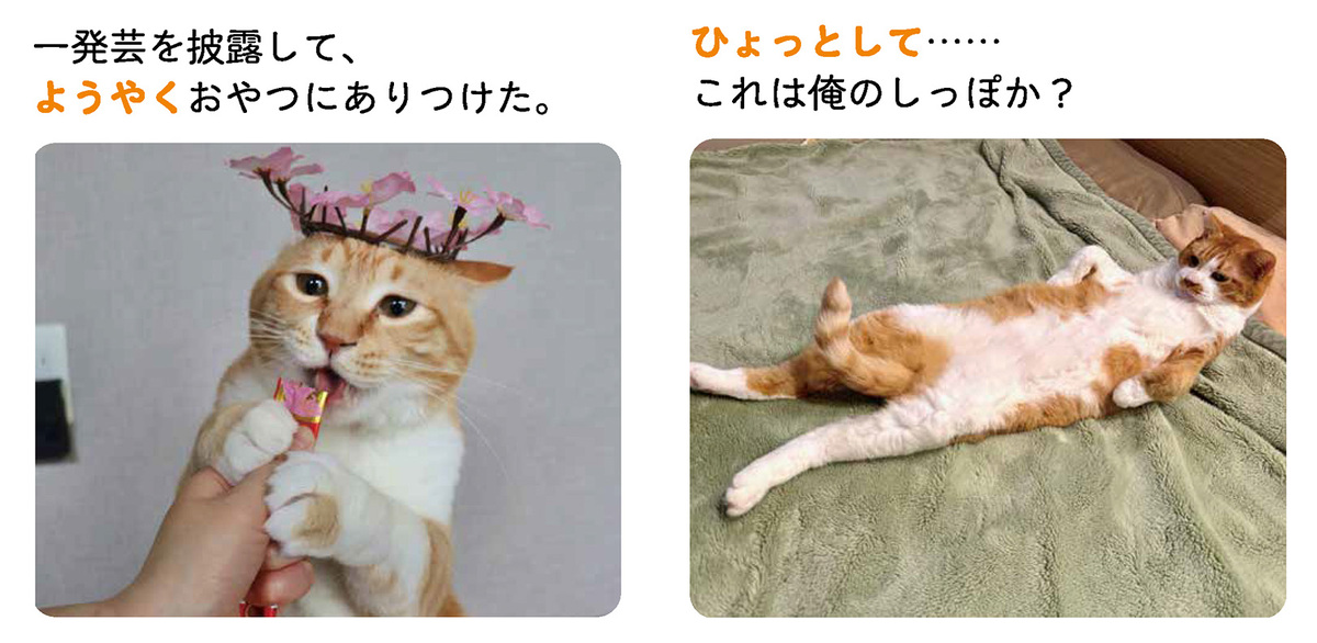 『にゃるほど！コミュ力UP語彙辞典』