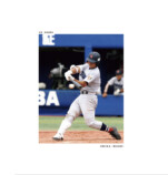 近藤健介、なぜ世界一の侍選手になれたのかの画像