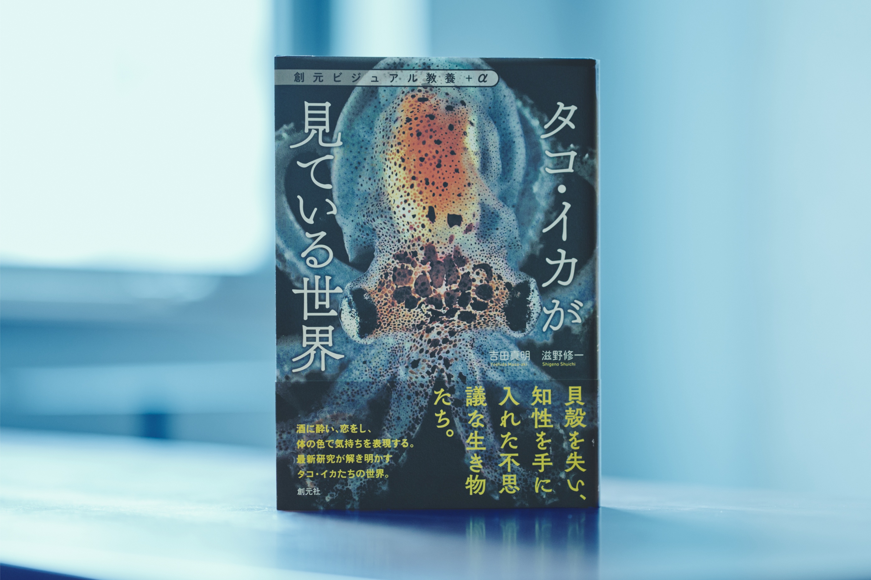 ココリコ田中が聞く、タコ・イカの不思議の画像