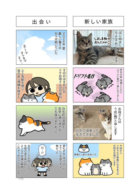 【漫画】車のエンジンルームに野良猫が