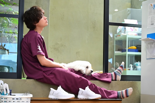 『初恋DOGs』第5話先行カット公開の画像