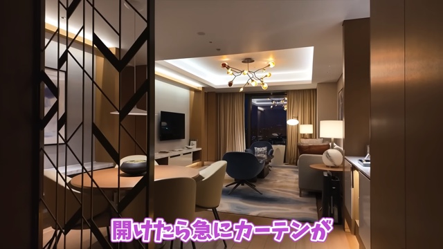 横浜の高級ホテルを満喫するあま猫