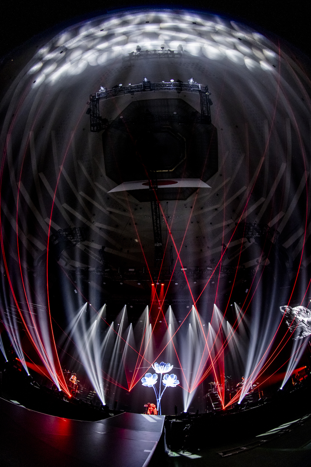 imase（撮影＝Viola Kam [V'z Twinkle]）