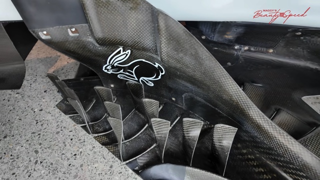 マギー、“世界で最も美しい車”に大興奮の画像