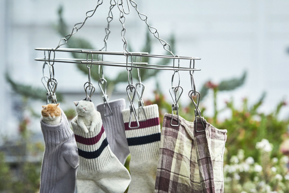 羊毛フェルト作家・MEBARUの作品集の画像