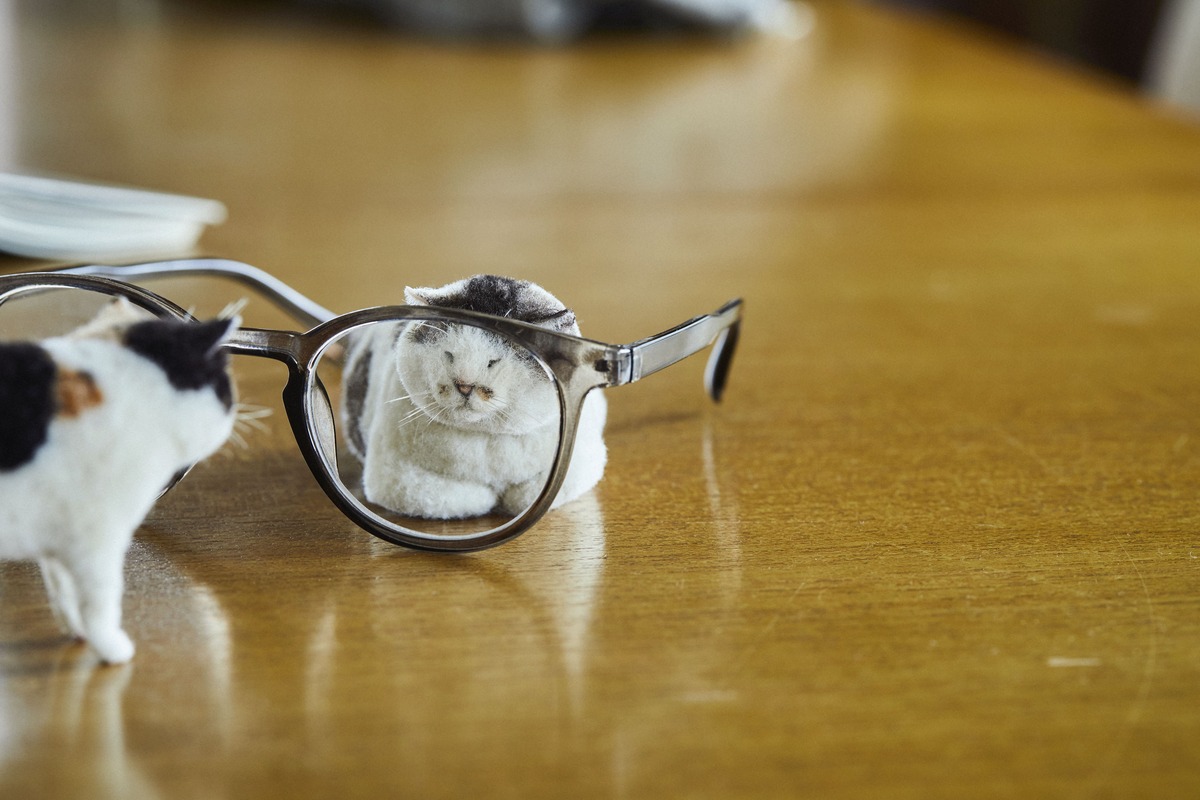 羊毛フェルト作家・MEBARUの作品集の画像