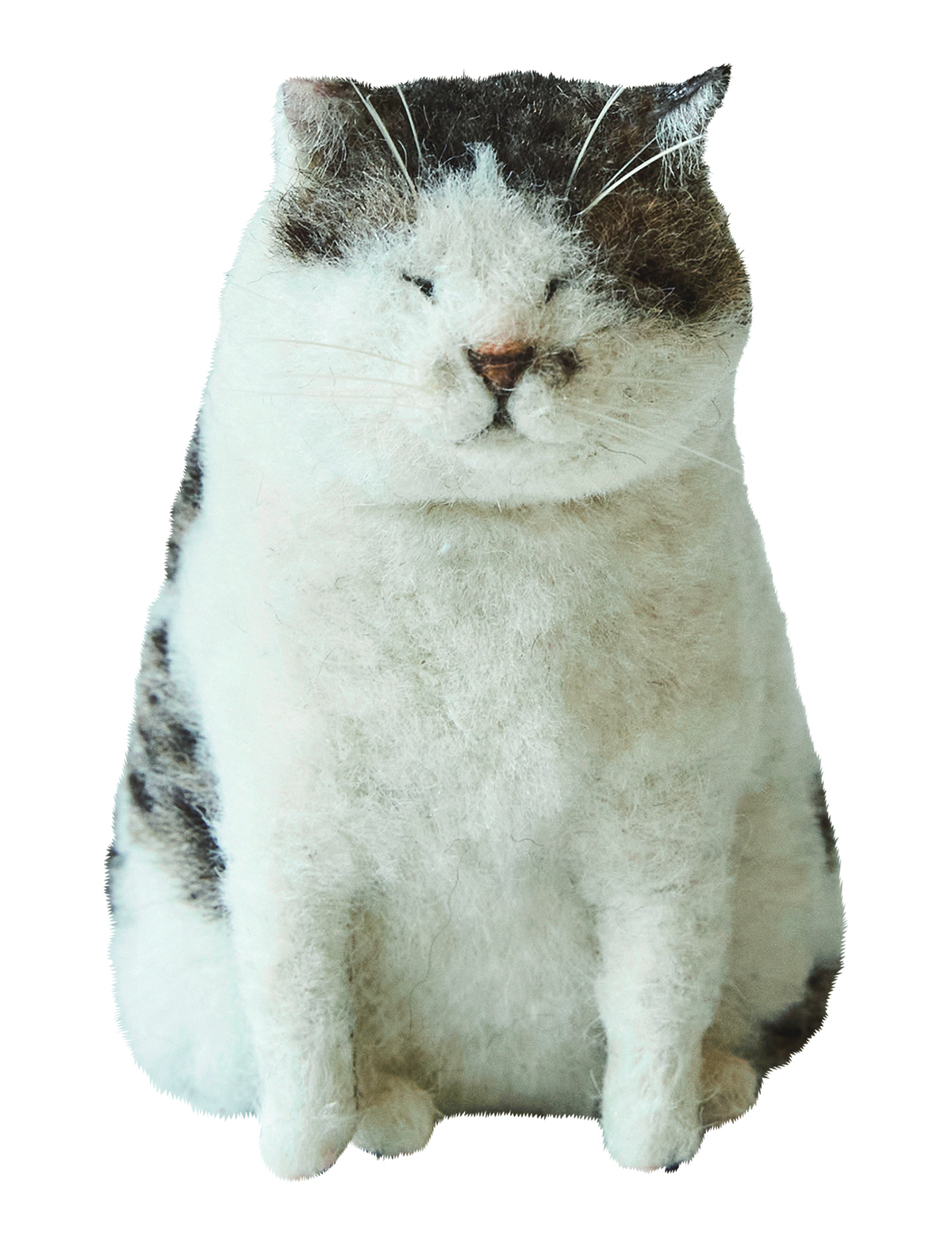 羊毛フェルト作家・MEBARUの作品集の画像