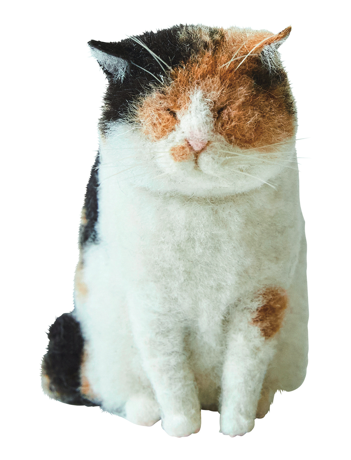 羊毛フェルト作家・MEBARUの作品集の画像