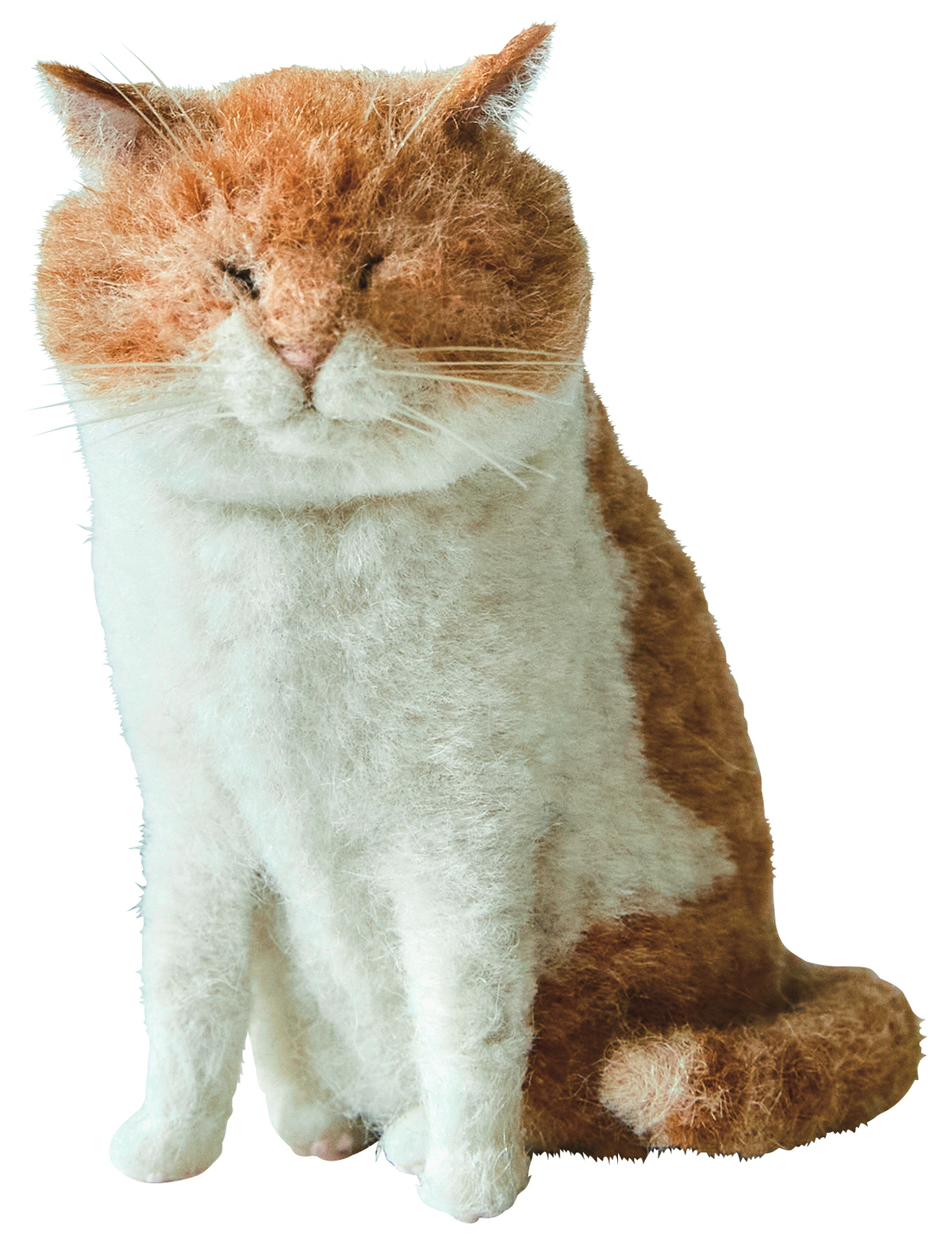 羊毛フェルト作家・MEBARUの作品集の画像