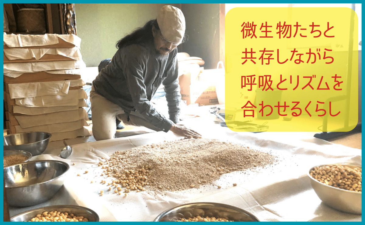 岡本よりたか著『日々、発酵くらし』が発売の画像