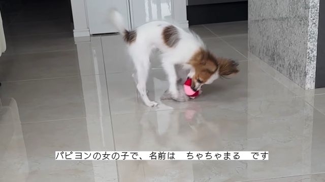 すっぴん姿を見せる川島海荷