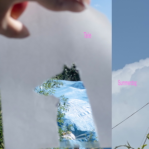 「サマードッグ」