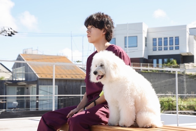 『初恋DOGs』第6話先行カットの画像