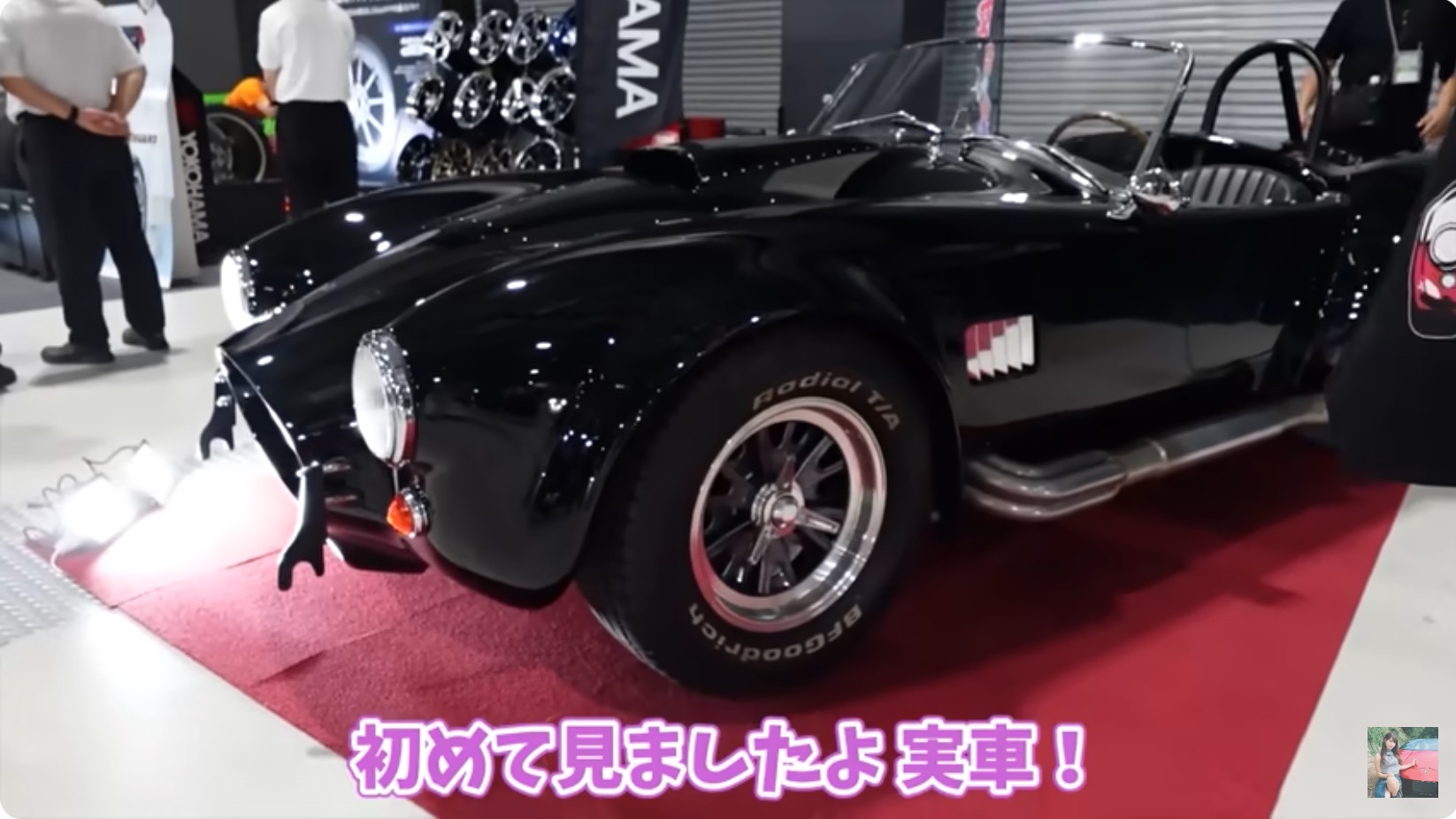 あま猫、「シェルビーコブラ」に大興奮の画像