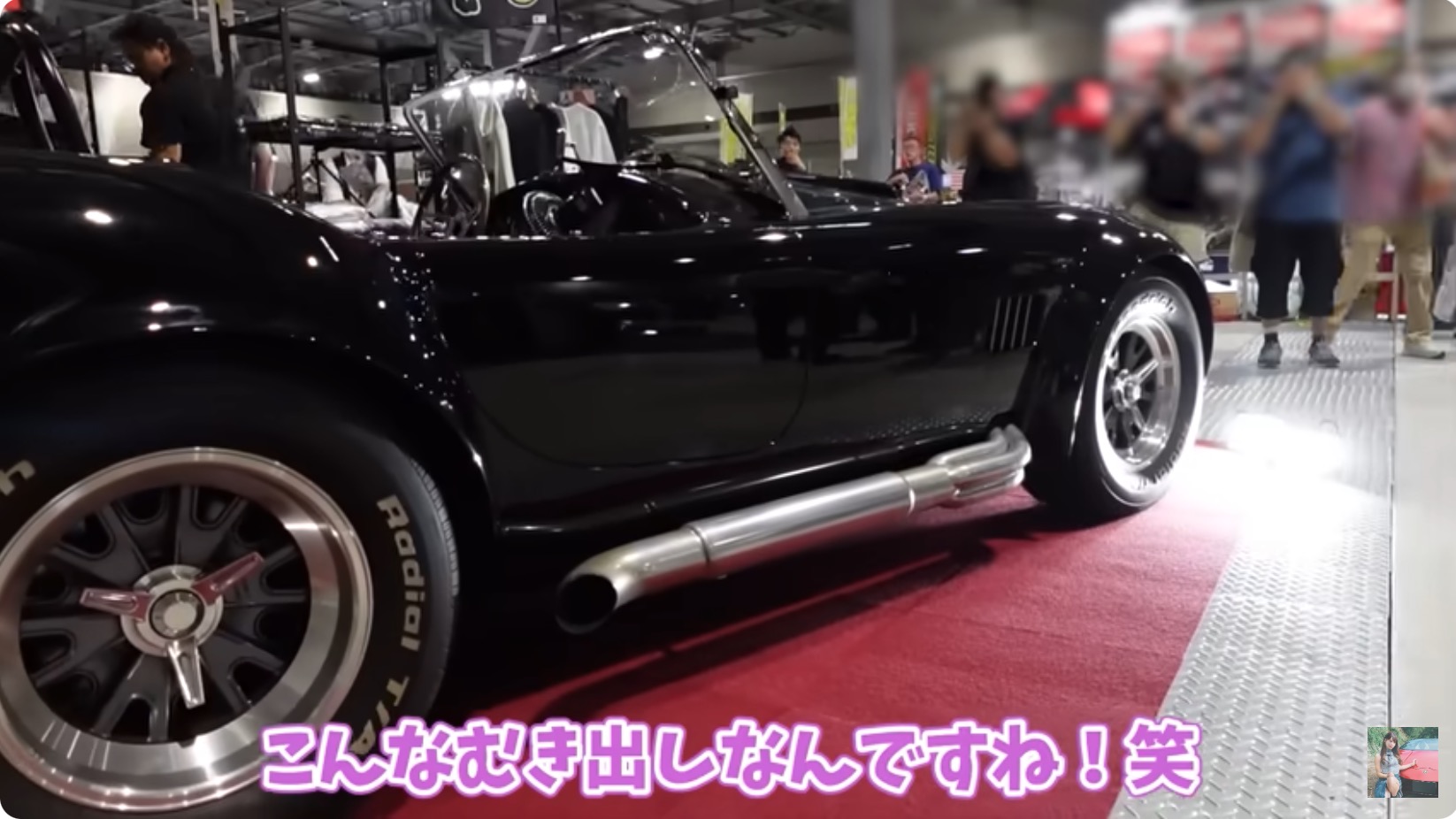 あま猫、「シェルビーコブラ」に大興奮の画像