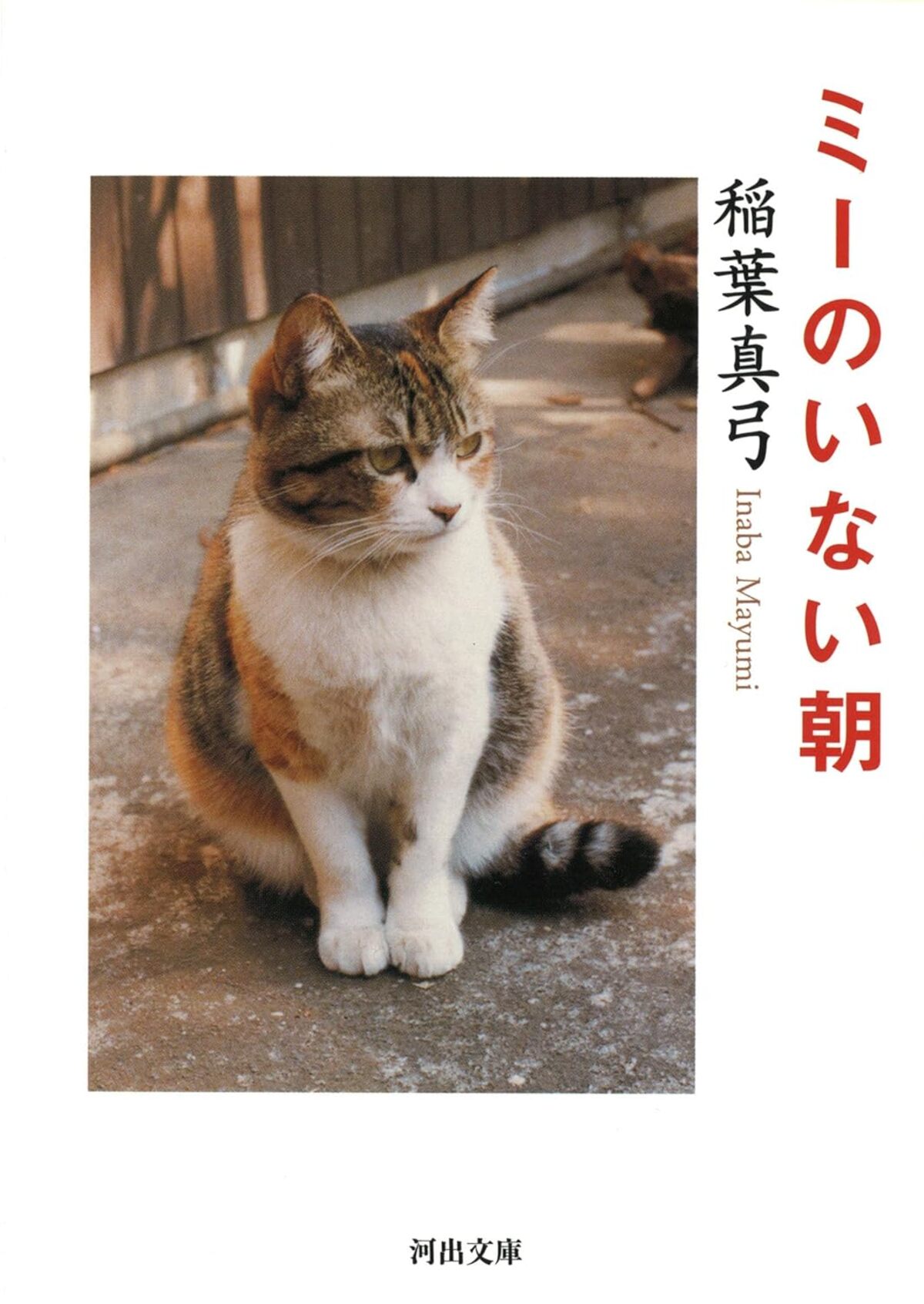 稲葉真弓『ミーのいない朝』世界各地で話題の画像