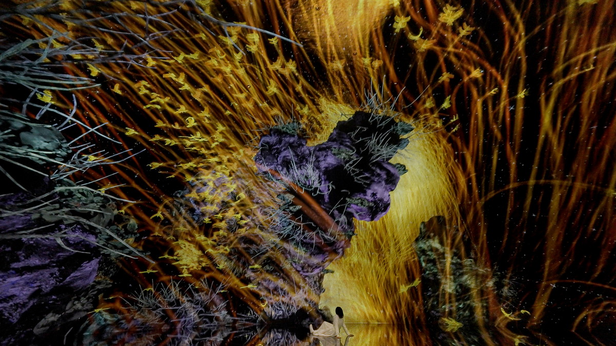 チームラボ、国内最大の常設展が京都にの画像