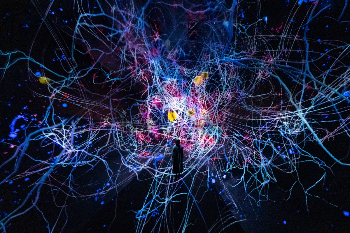 チームラボ、国内最大の常設展が京都にの画像