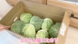 辻希美、キャベツ大量消費レシピを紹介の画像