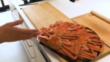 かねこが100トン売り上げたオオズワイガニの製造過程