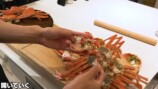 かねこが100トン売り上げたオオズワイガニの製造過程