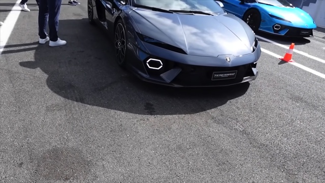 新型ランボルギーニ「テメラリオ」で爆走するあま猫