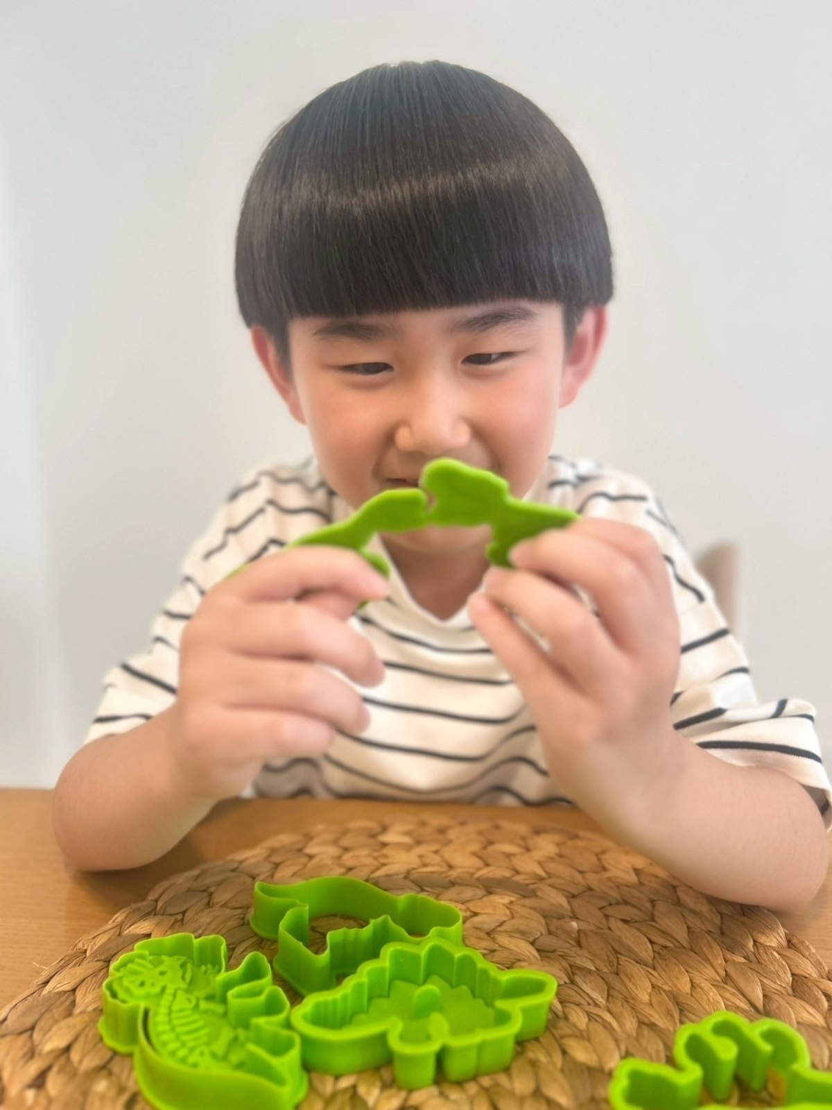 恐竜の化石がおうちで作れるクッキー型BOOKの画像