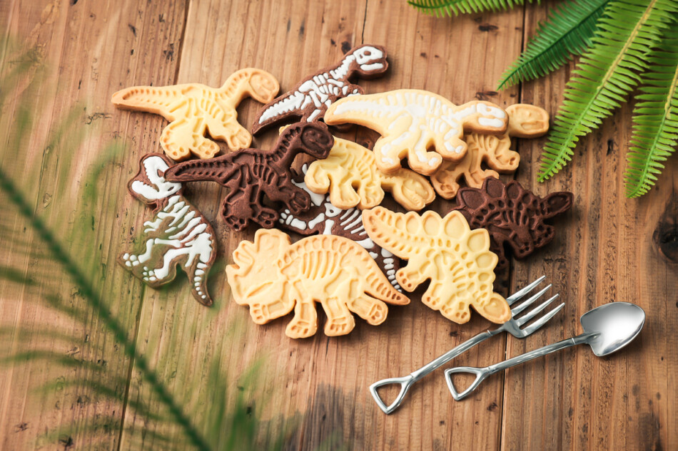 恐竜の化石がおうちで作れるクッキー型BOOK