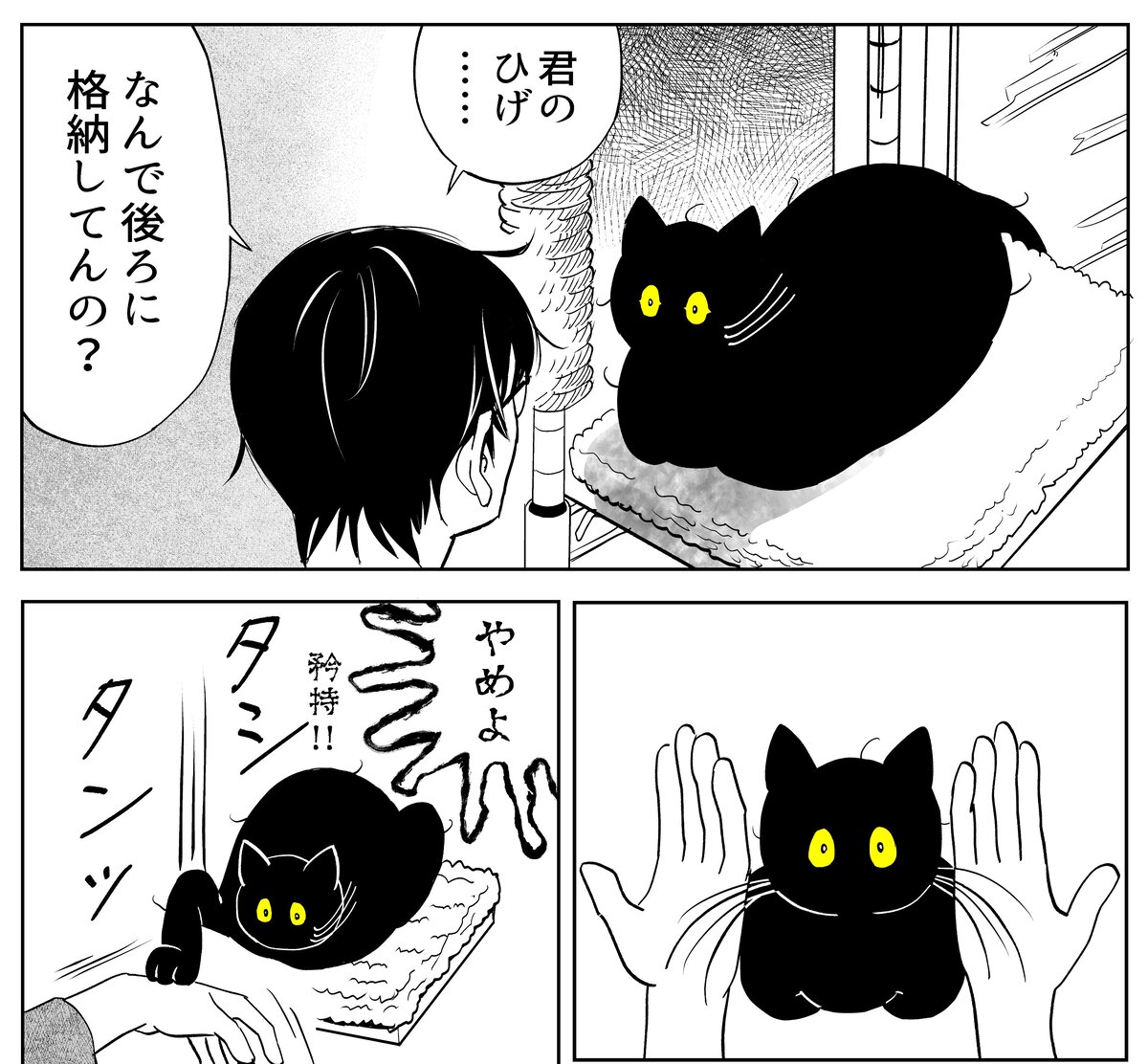 KADOKAWA「第5回 猫コミック新人賞」開催の画像