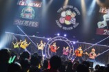 『つば男FES 2025』より楽しいライブにの画像