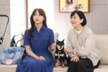『初恋DOGs』第7話先行カットの画像