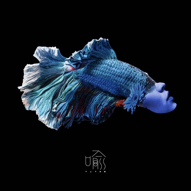 奈良瀬　アイコンビジュアル