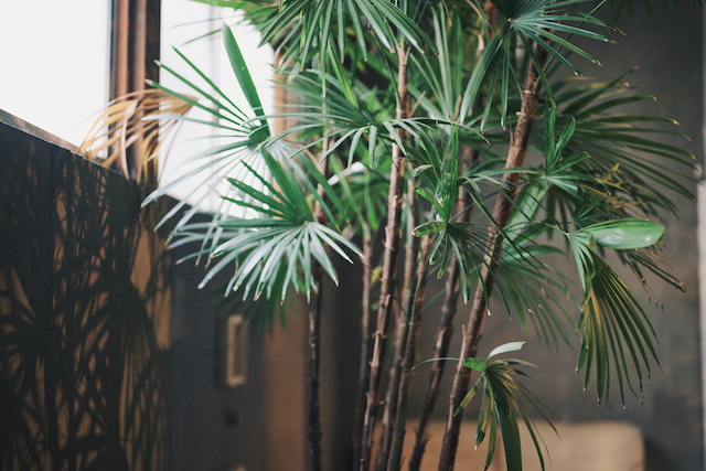 「本屋 × クラフトビール」の贅沢な時間の画像