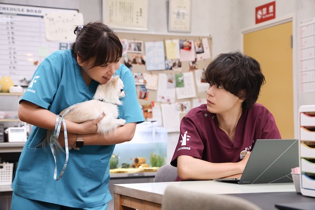 『初恋DOGs』 第8話先行カットの画像