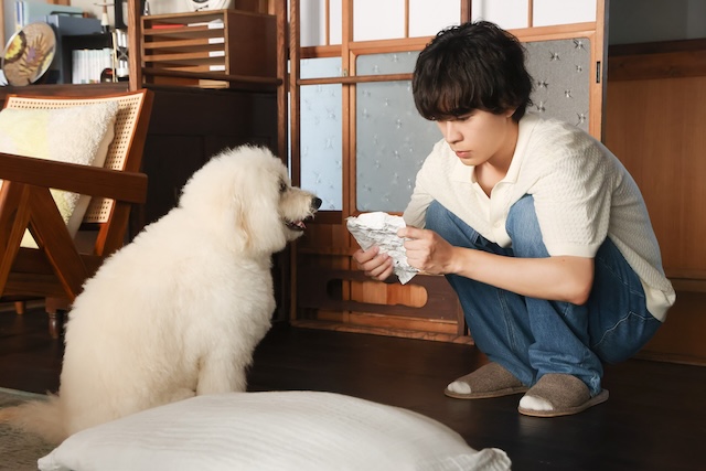 『初恋DOGs』 第8話先行カットの画像