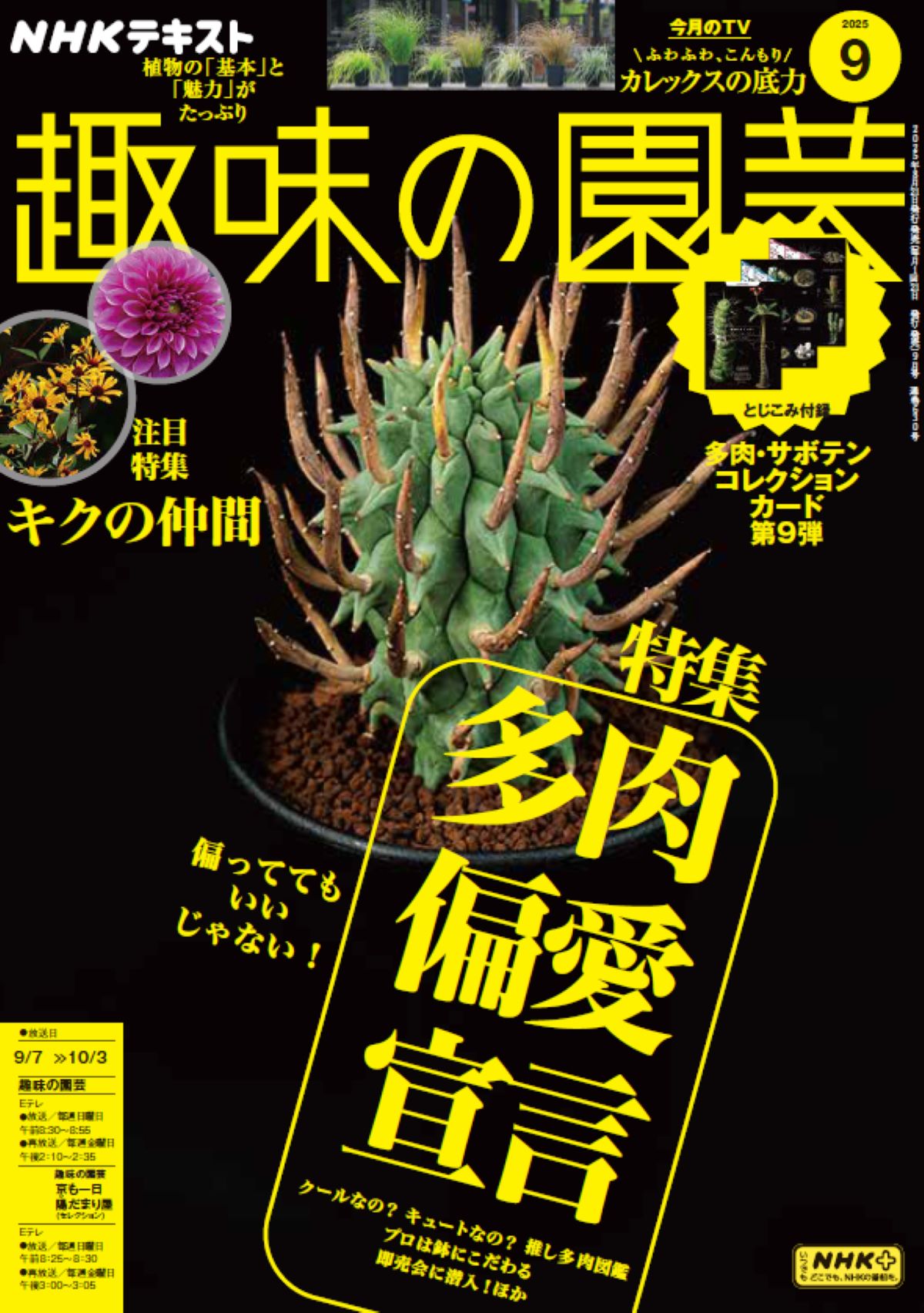 『NHK趣味の園芸　多肉植物』発売の画像