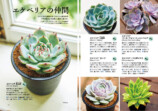 『NHK趣味の園芸　多肉植物』発売の画像