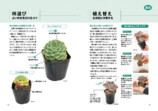 『NHK趣味の園芸　多肉植物』発売の画像
